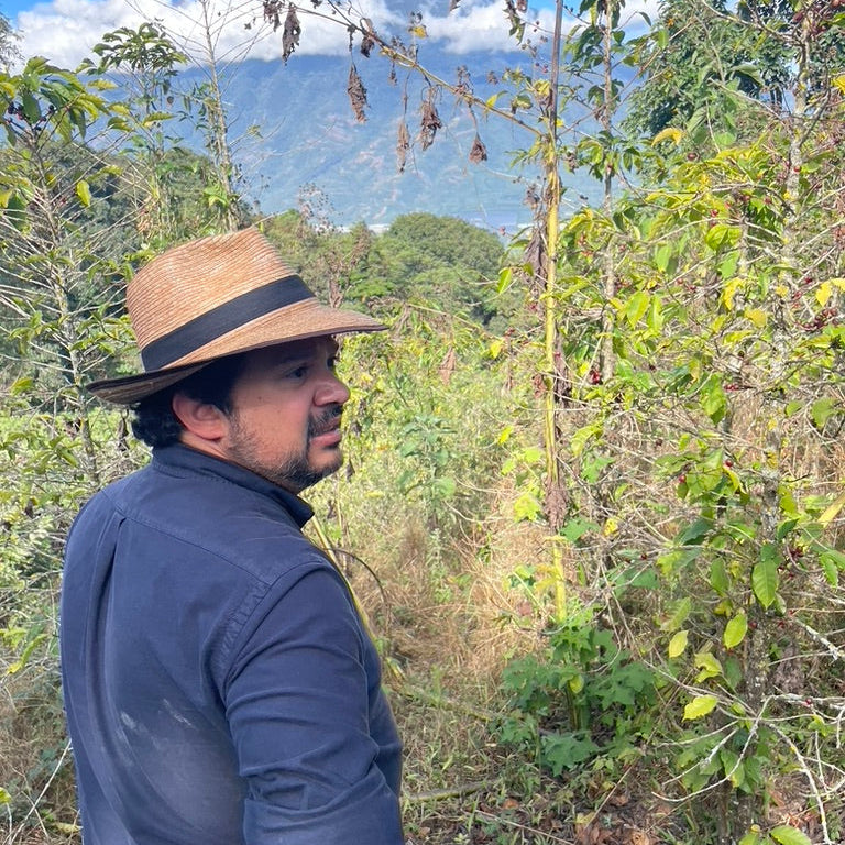 Guatemala Josué Morales