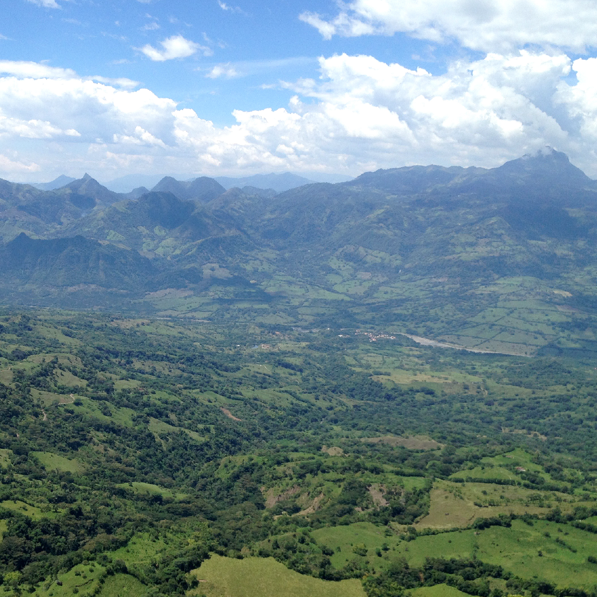 Decaf Ciudad de Flores Colombia