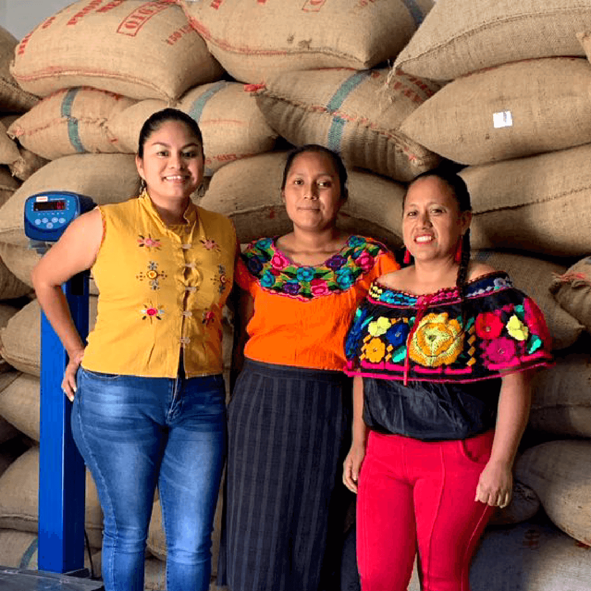 Mexico Familia Cifuentes
