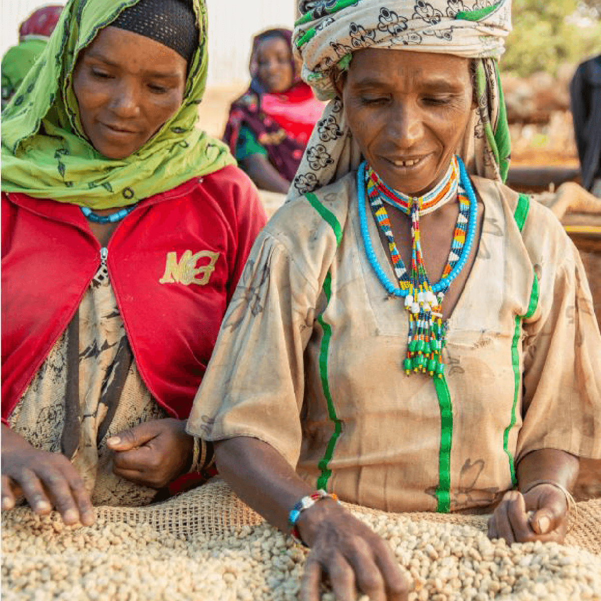 Ethiopia Mulish