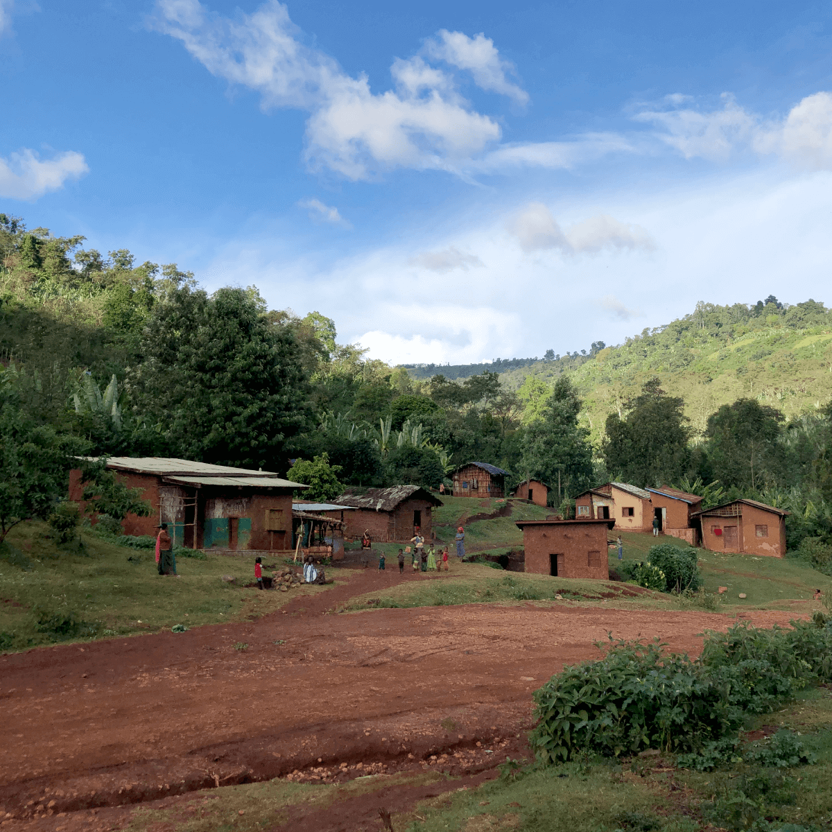 Ethiopia Suke Quto