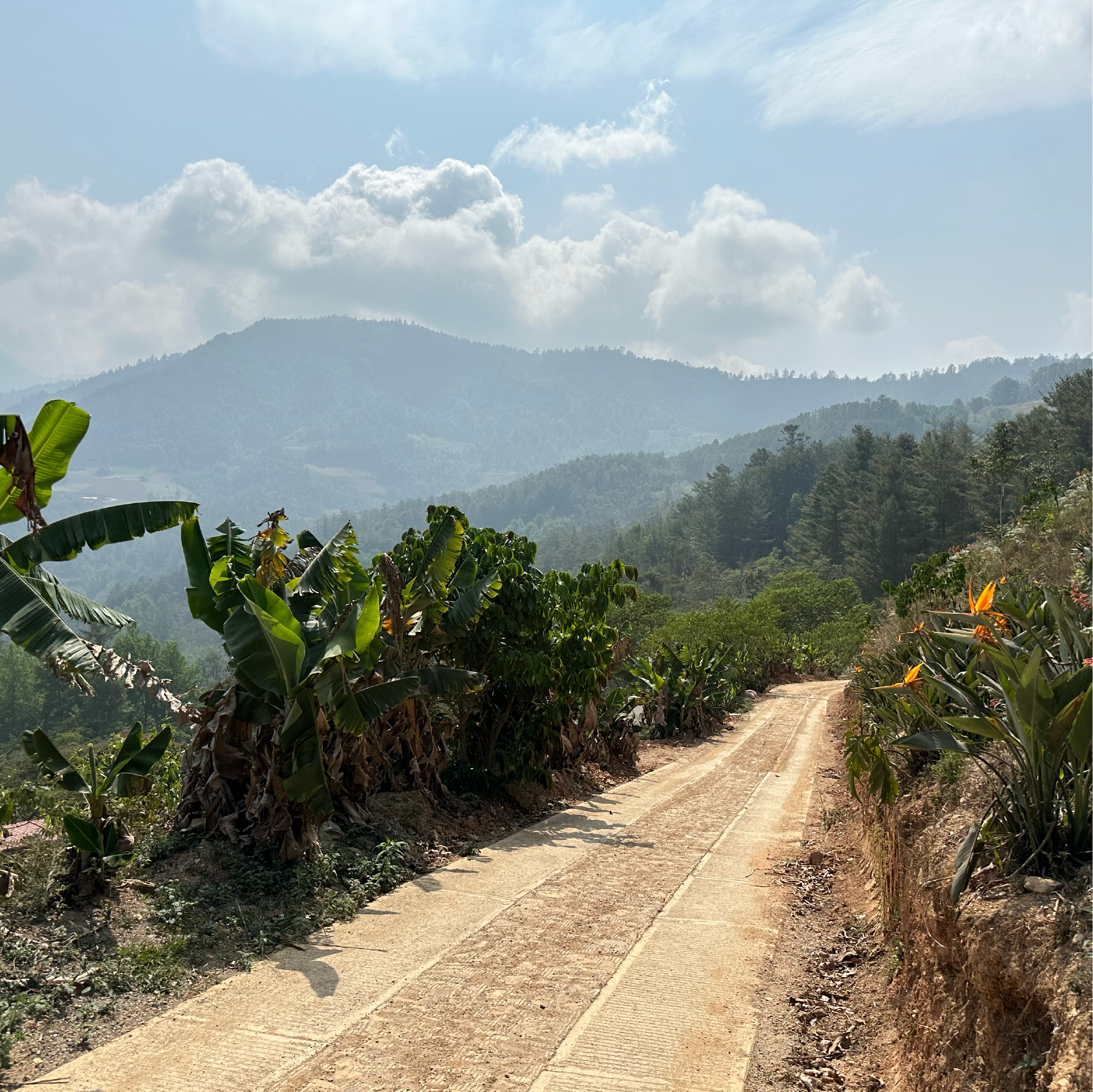 Mexico Eber Olivera Baltazar