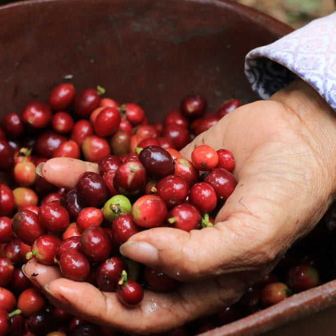 Colombia Juan Carlos Artunduaga