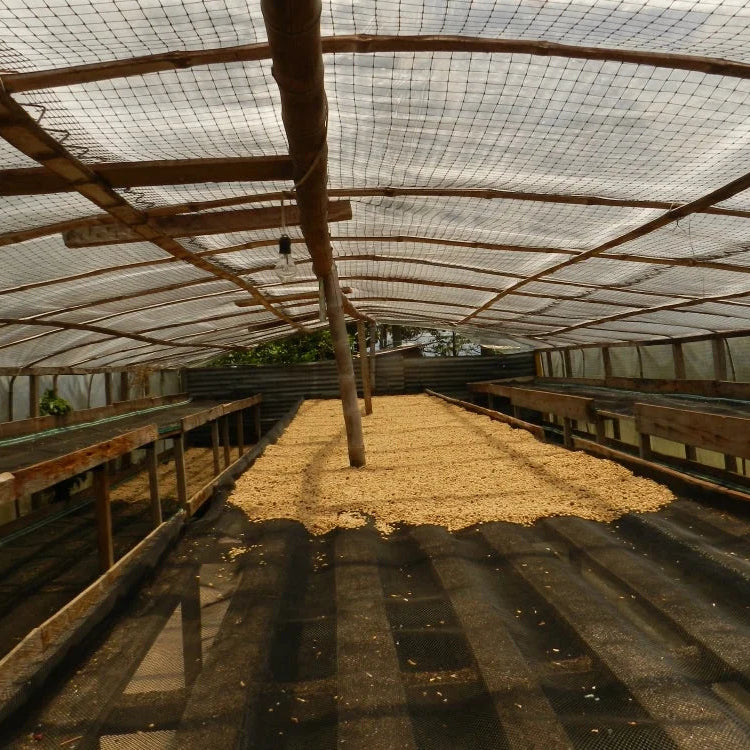 Colombia Juan Carlos Artunduaga