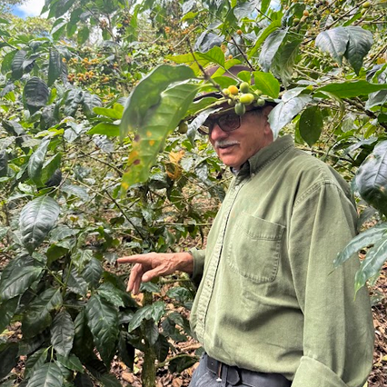 Guatemala Don Higinio Gomez