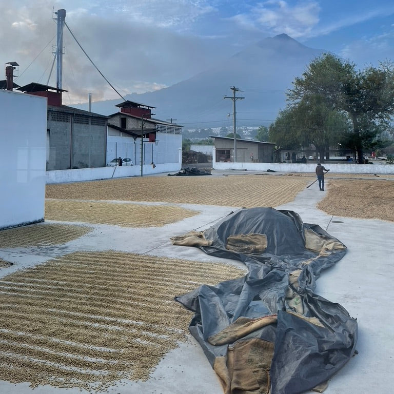 Guatemala Josué Morales