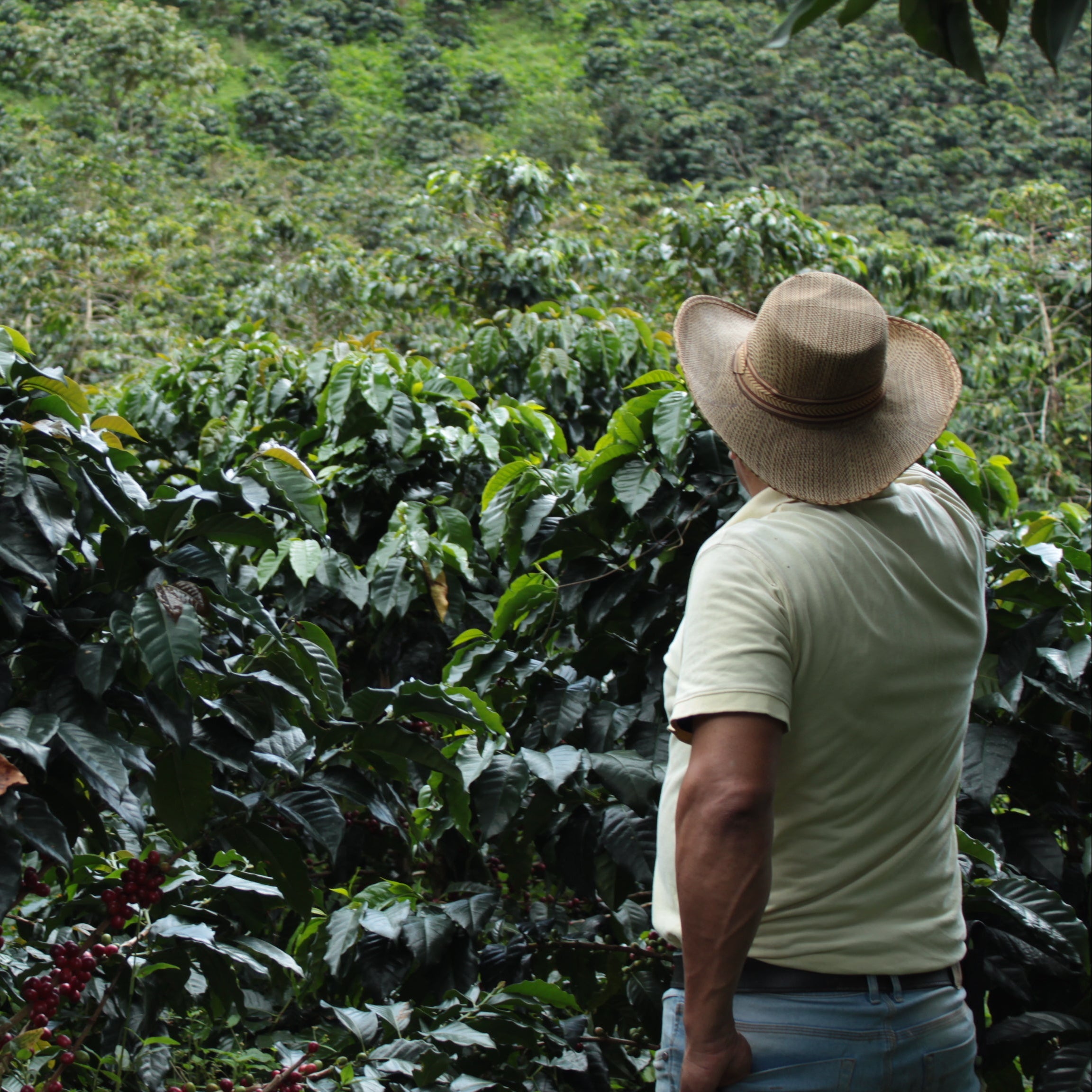 Colombia Rafael Aya Martinez