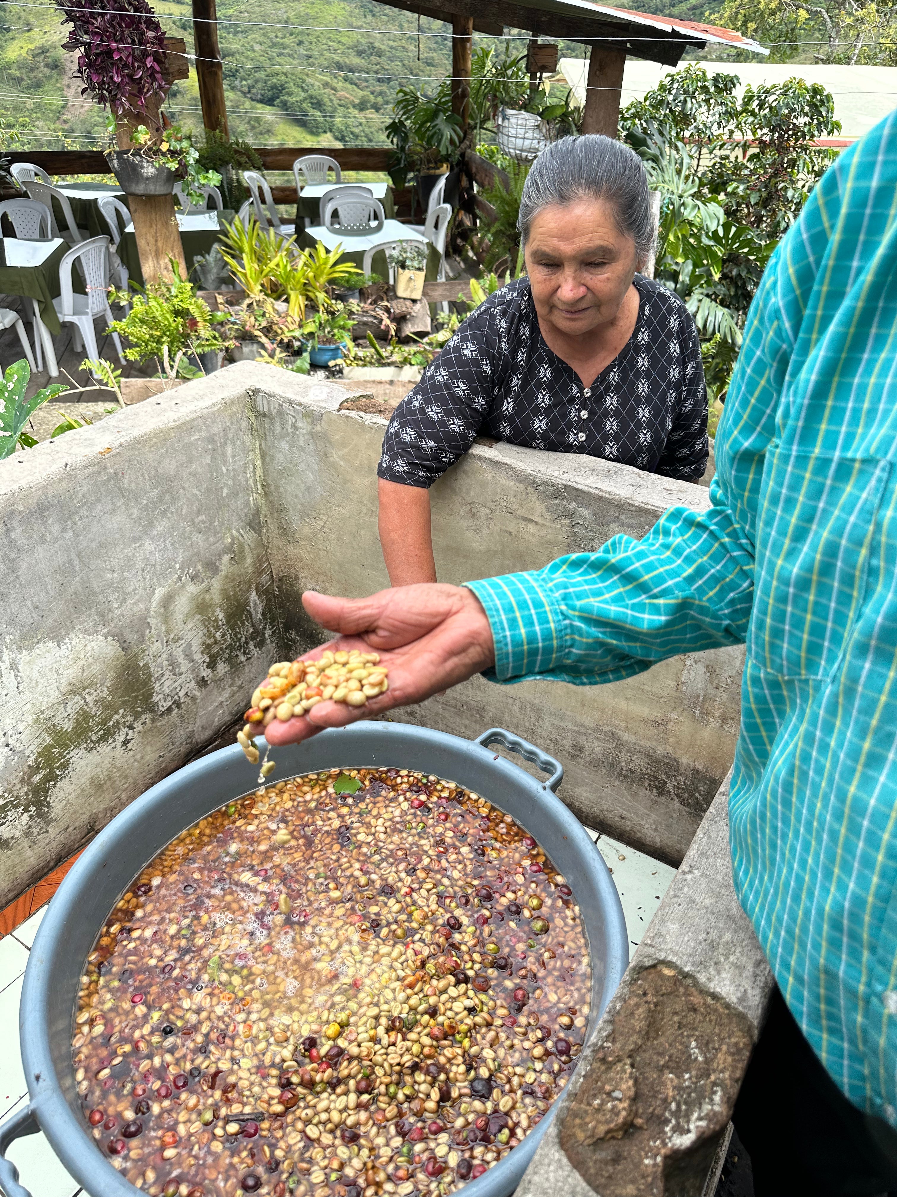 Colombia Amparo Moncayo Botina