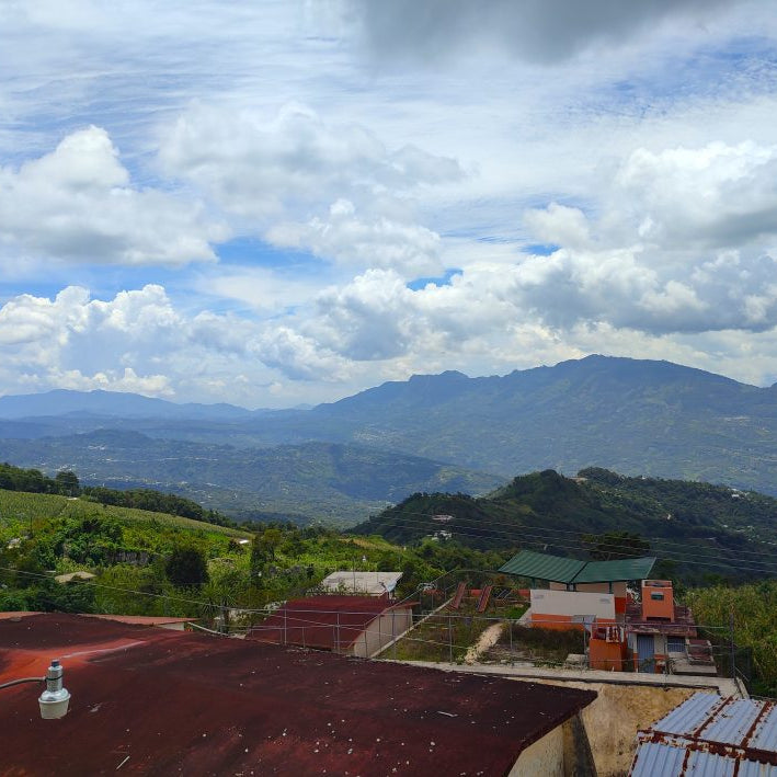 Decaf Altura Mexico