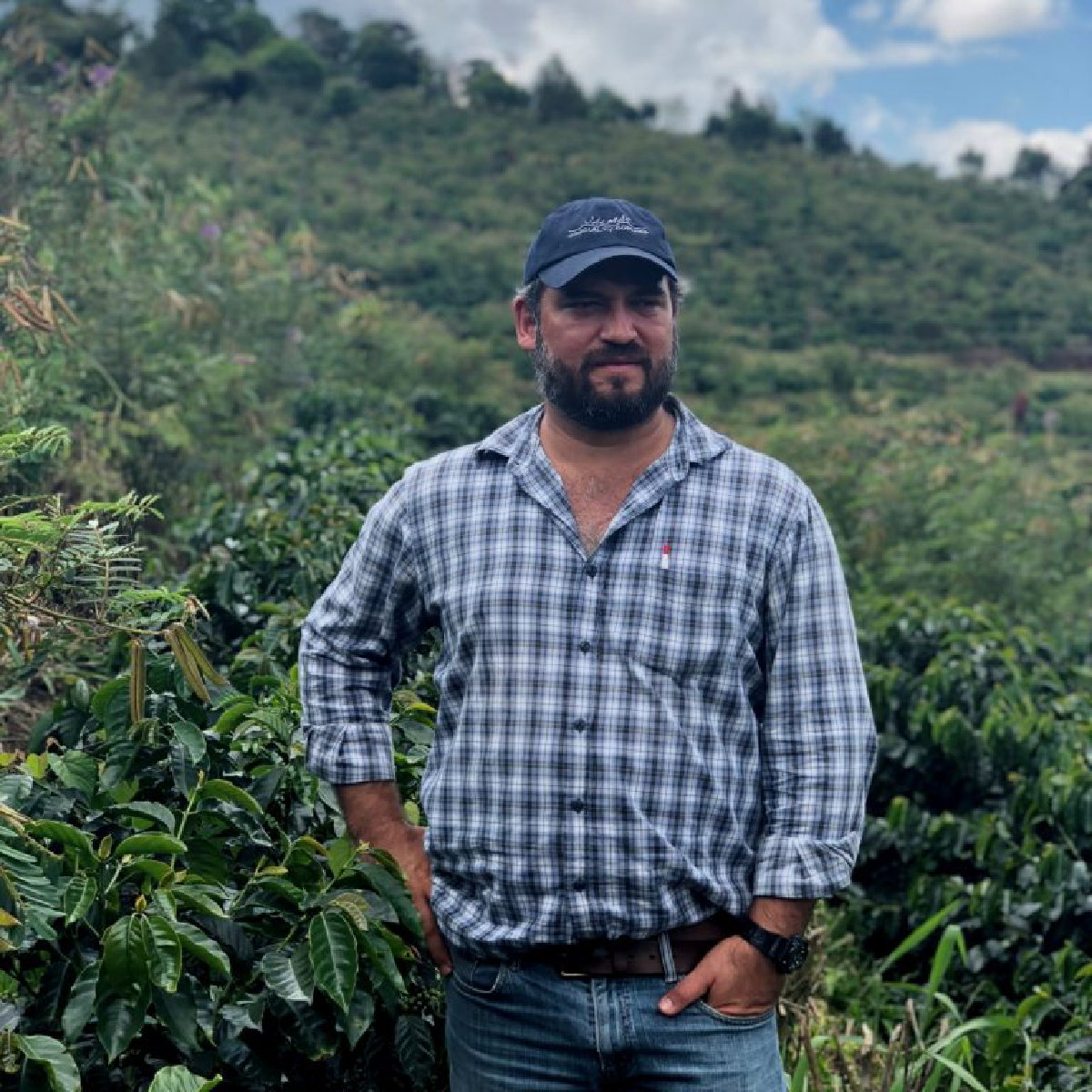 Guatemala Finca San Lorenzo