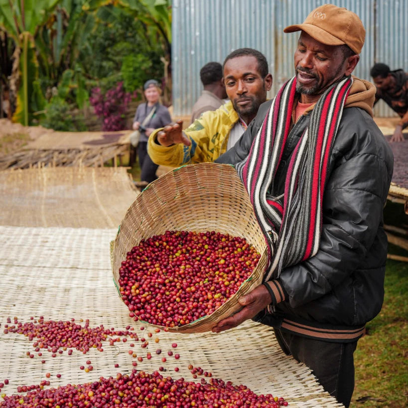 Ethiopia Kebede Wako