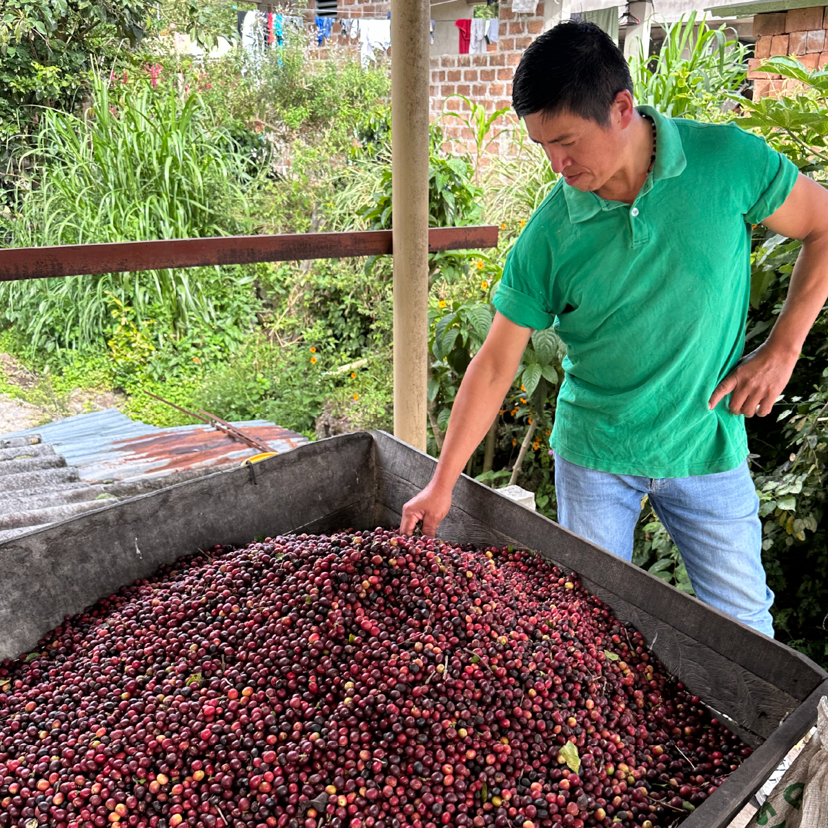 Colombia Yacuanquer