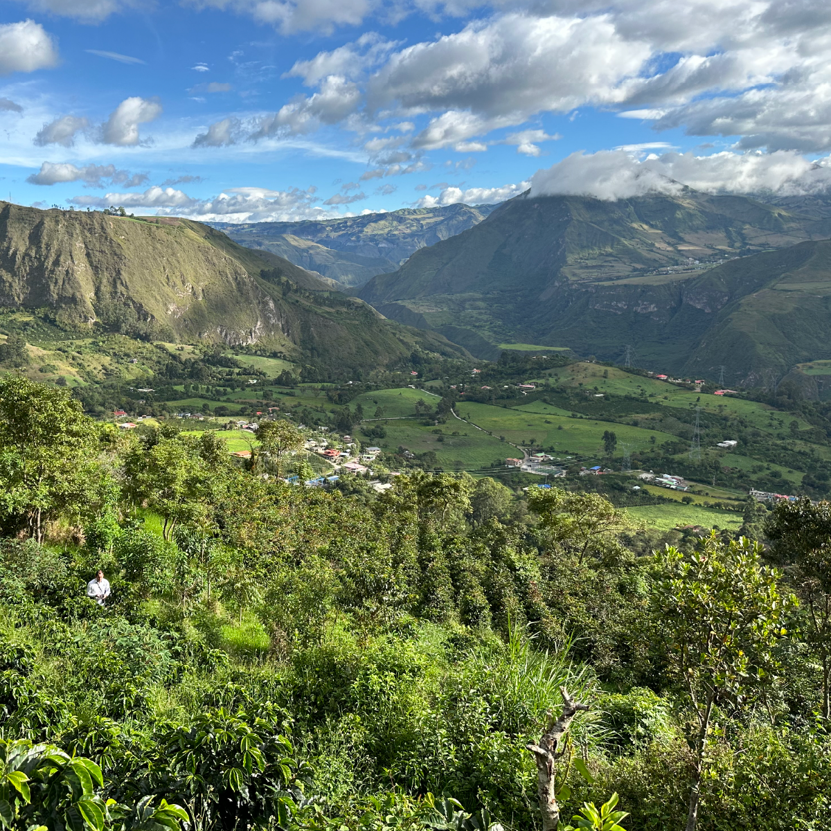 Colombia Yacuanquer